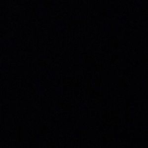 Meet your Posher, Kesha